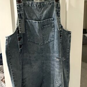 Three Bird Nest Blue Denim Overalls